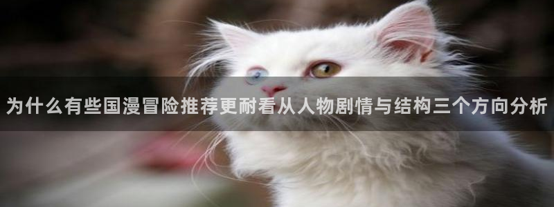 樱花日语入门教程：为什么有些国漫冒险推荐更耐看从人物剧情与结构三个方向分析