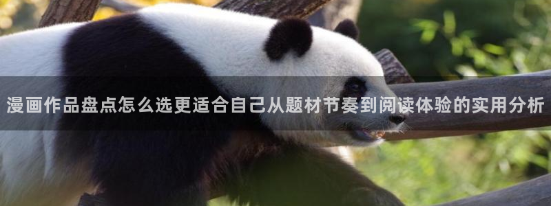 樱花日语基础词汇：漫画作品盘点怎么选更适合自己从题材节奏到阅读体验的实用分析