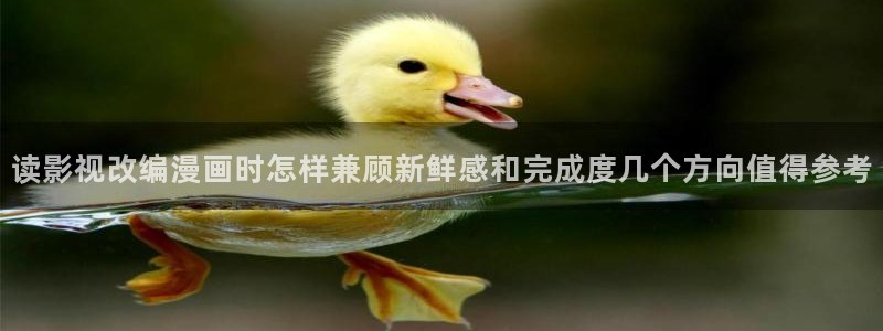 樱花日语能力考试:读影视改编漫画时怎样兼顾新鲜感和完成度几个方向值得参考