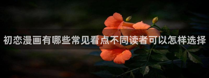 樱花日语练习题：初恋漫画有哪些常见看点不同读者可以怎样选择